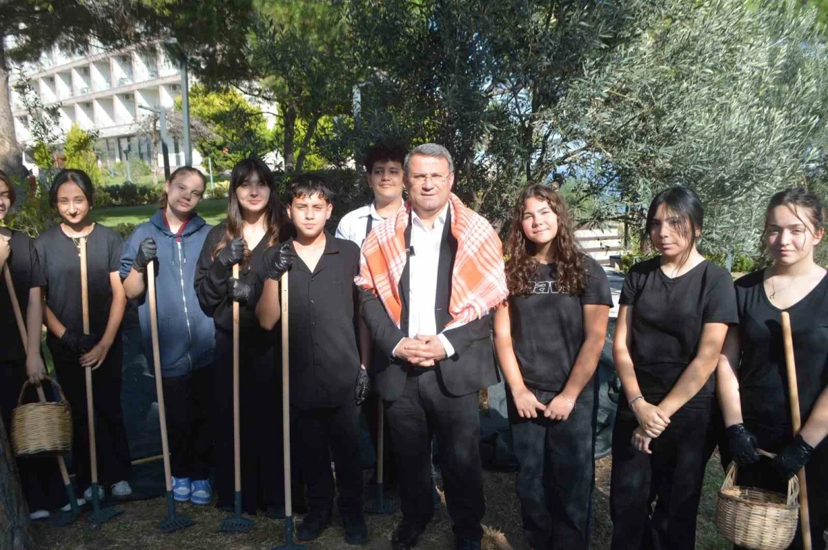 Ayvalık Zeytin Hasat Festivali'nde geleneksel üretim