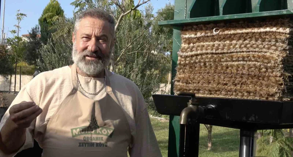 Ayvalık Zeytin Hasat Festivali'nde geleneksel üretim