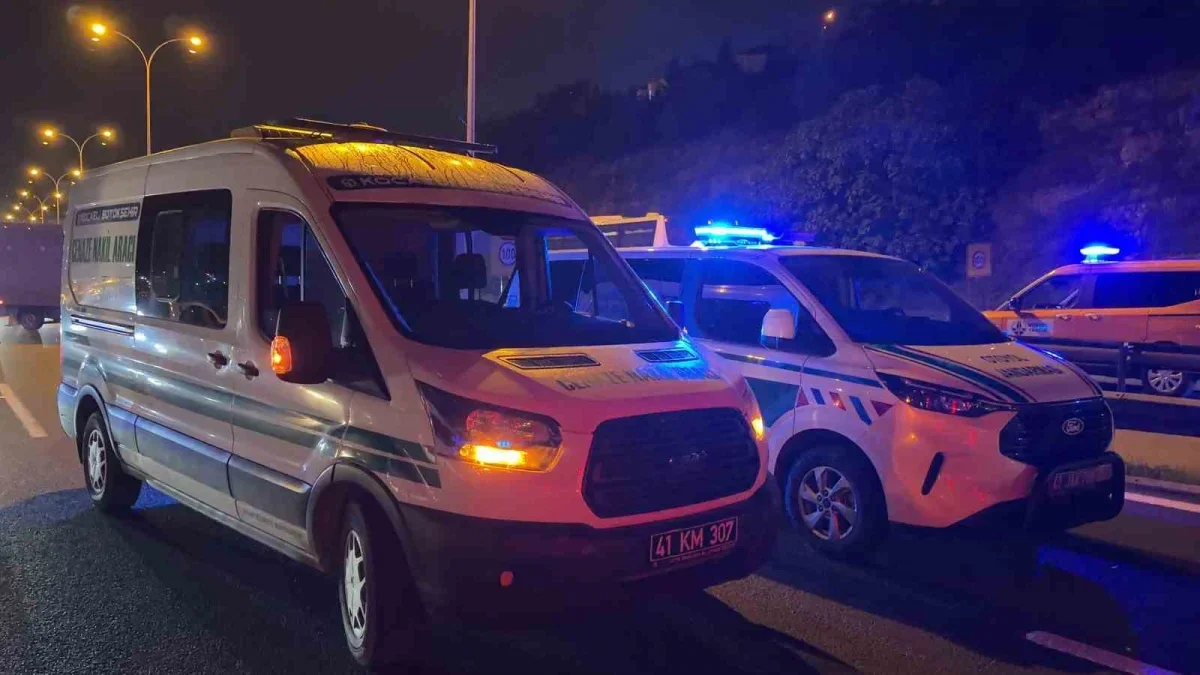 Dilovası TEM'de tır sürücüsü öldü, 2 kişi yaralandı