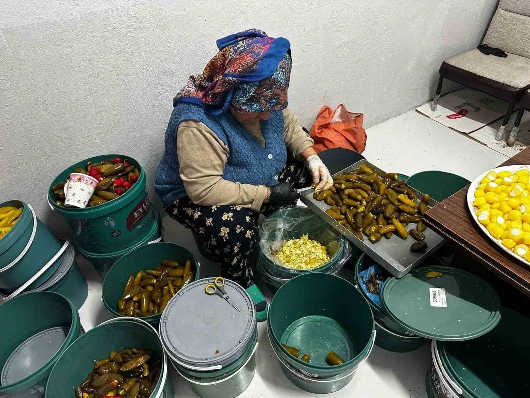 Gedelek turşusunun sırrı: Pınarbaşı suyu ve 40 bin ton