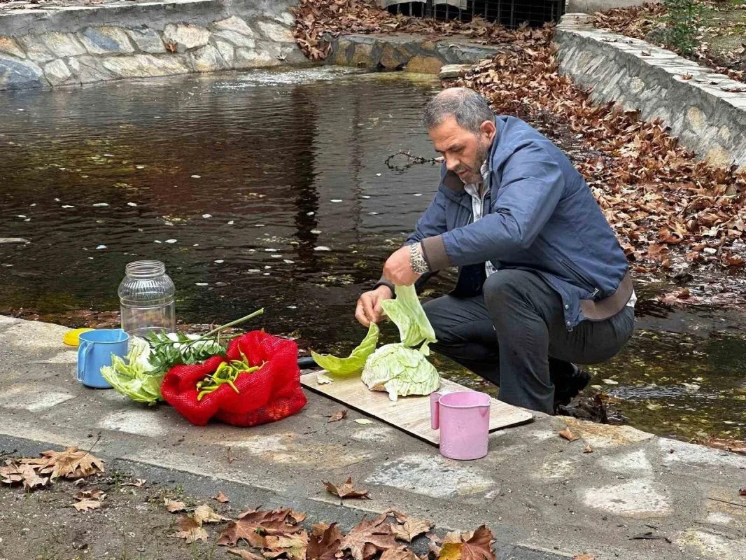 Gedelek turşusunun sırrı: Pınarbaşı suyu ve 40 bin ton
