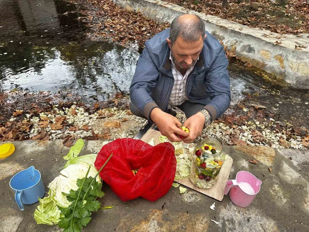 Gedelek turşusunun sırrı: Pınarbaşı suyu ve 40 bin ton