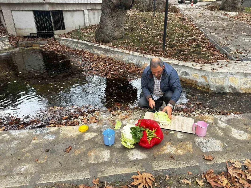 Gedelek turşusunun sırrı: Pınarbaşı suyu ve 40 bin ton