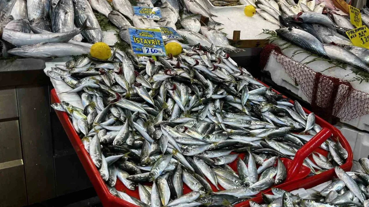 Kocaeli'de balık fiyatları: Palamut 125, lüfer 450 lira