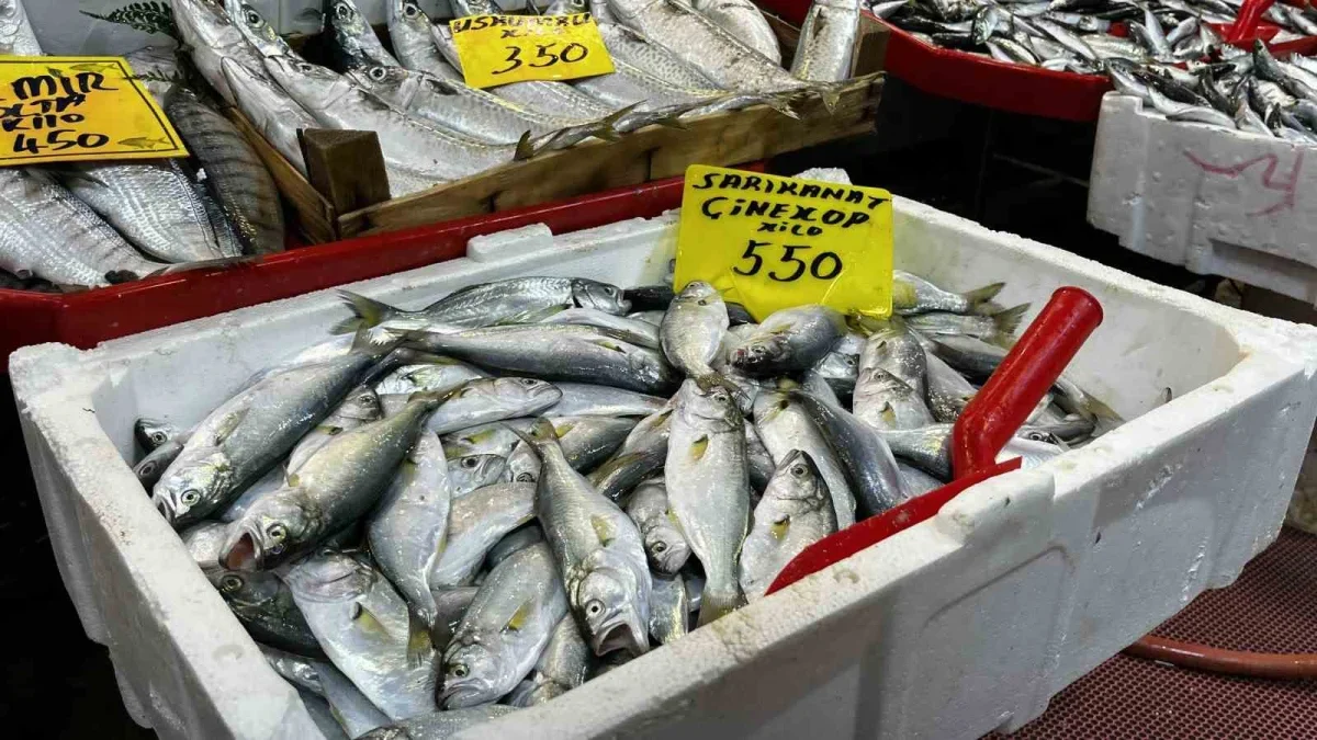 Kocaeli'de balık fiyatları: Palamut 125, lüfer 450 lira