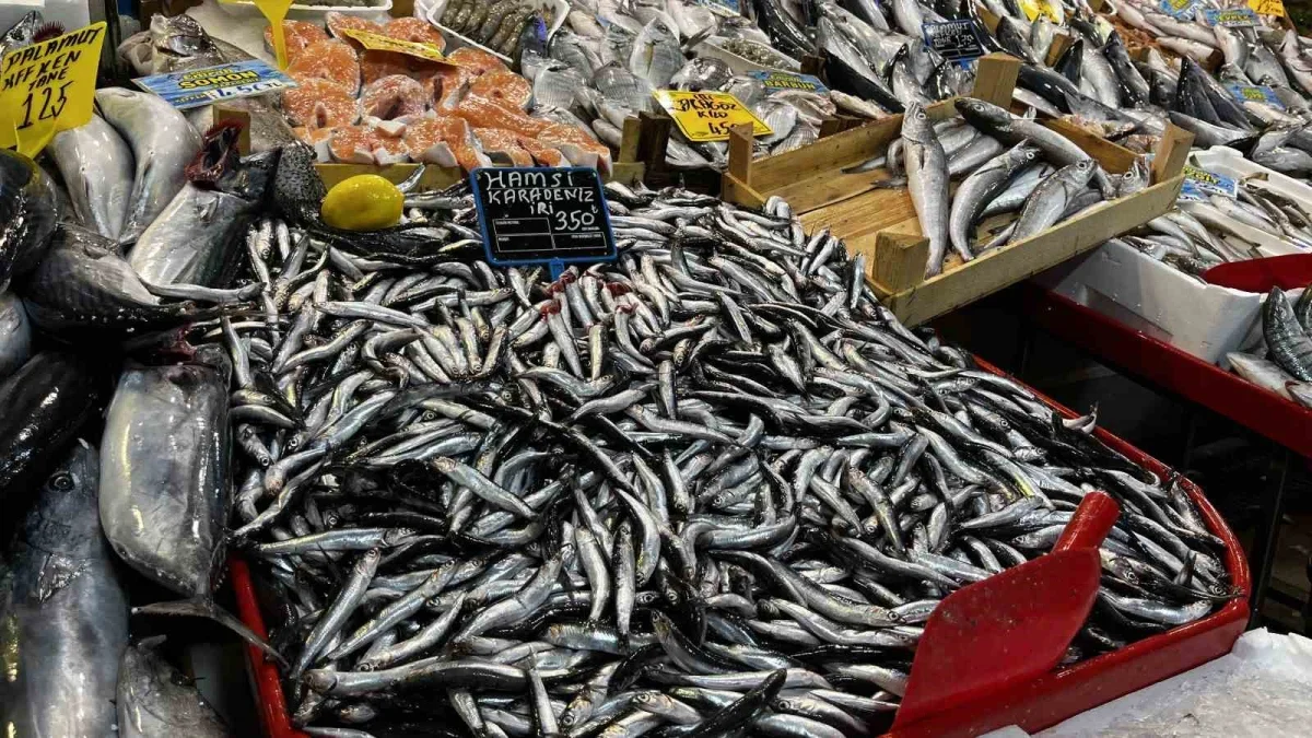 Kocaeli'de balık fiyatları: Palamut 125, lüfer 450 lira