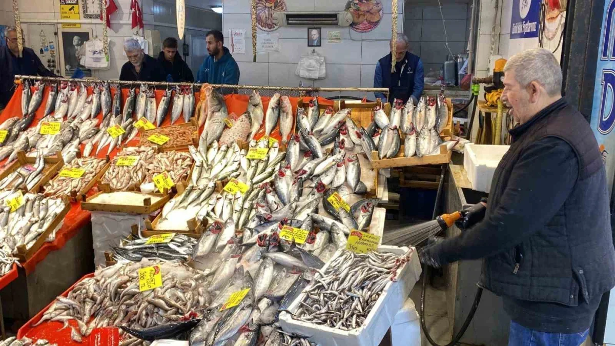 Kocaeli'de balık fiyatları: Palamut 125, lüfer 450 lira