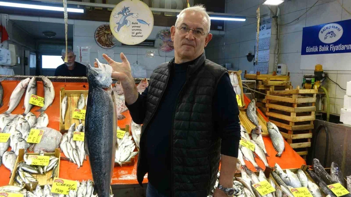 Kocaeli'de balık fiyatları: Palamut 125, lüfer 450 lira