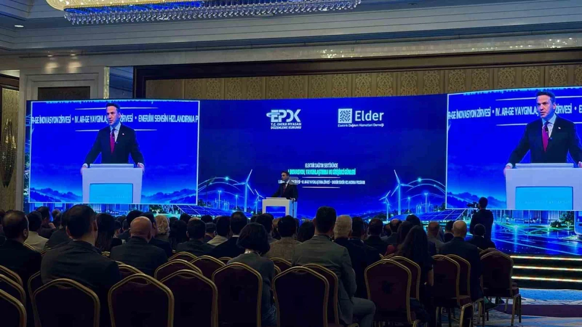 Milli Enerji 2040'ta elektrik altyapısına 100 milyar dolar