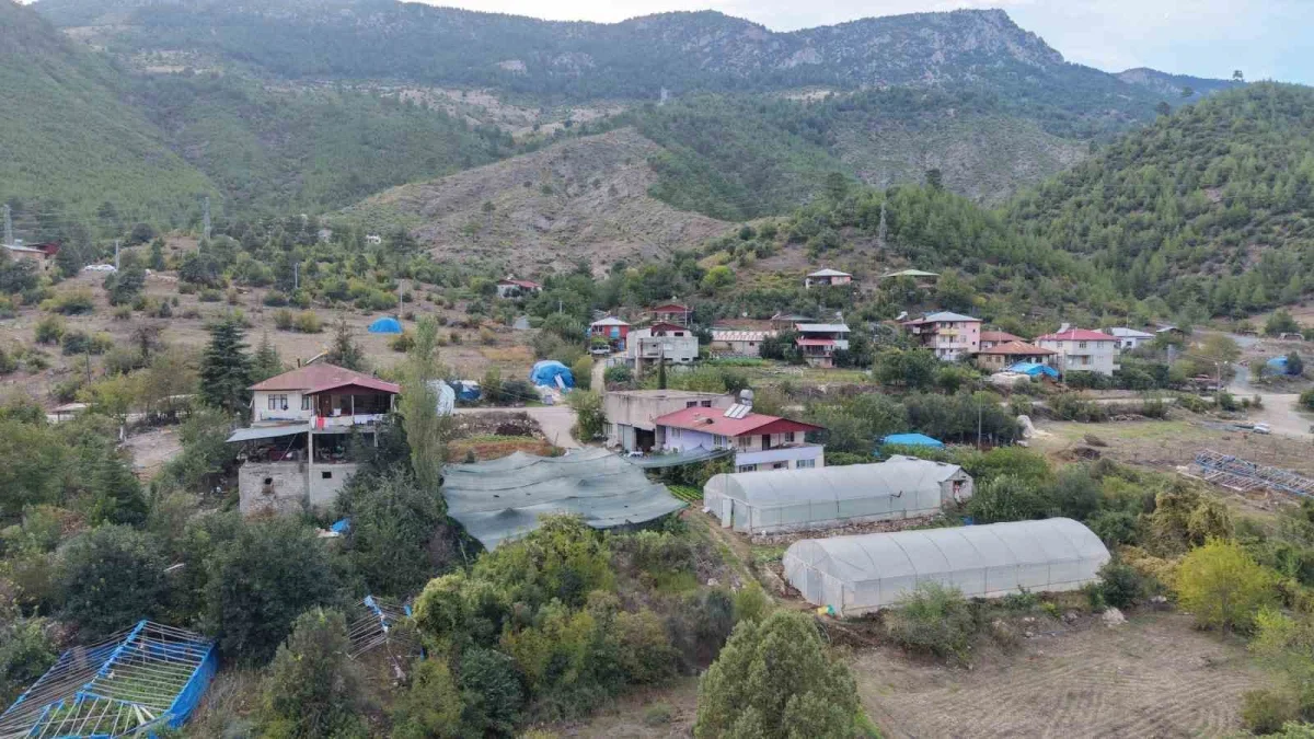 Saimbeyli'de ahududu yetiştiriyor, kilosu 500 lira