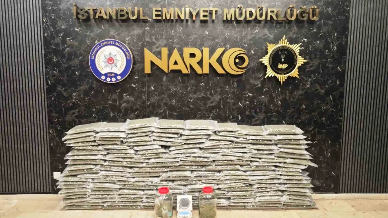 İstanbul ve Kocaeli'de 100 kilo 583 gram skunk ele geçirildi