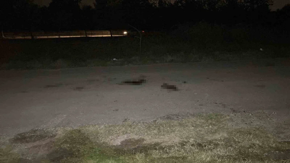 Kocaeli'de MHP'li meclis üyesi Murat Saral öldü