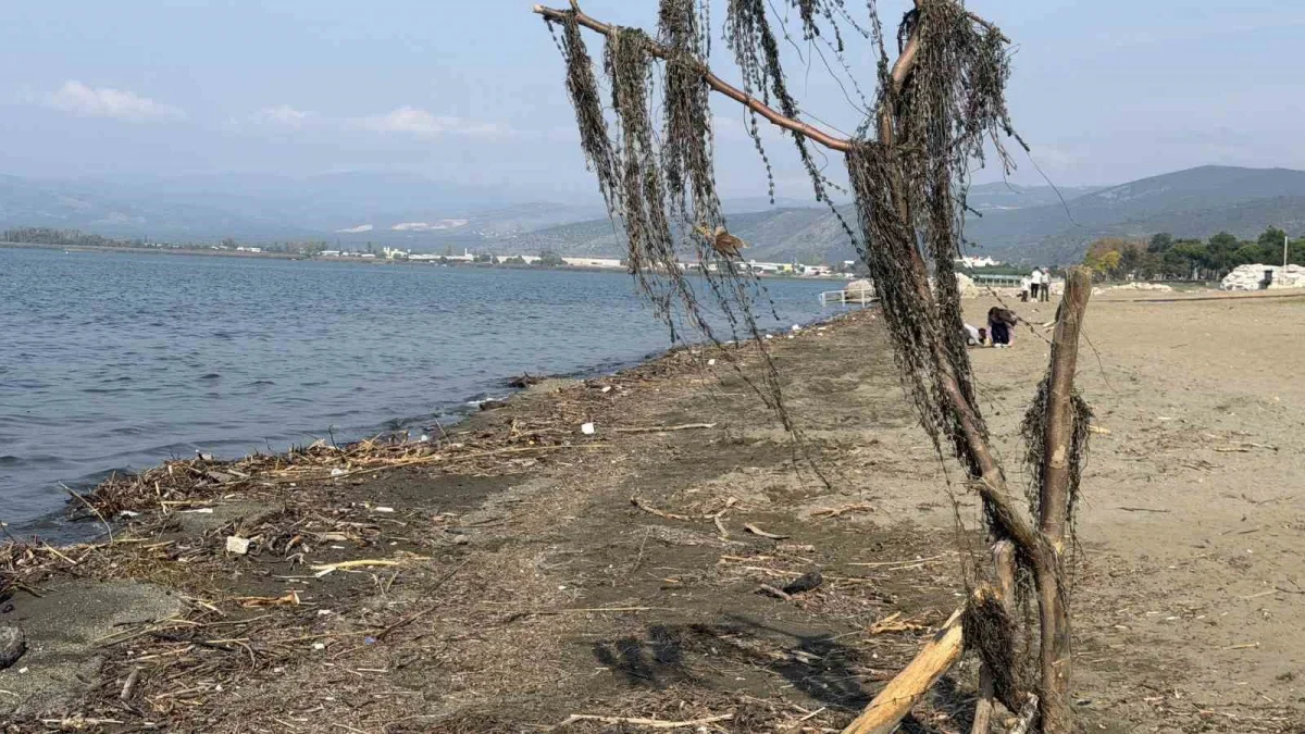 İznik Gölü neden çekiliyor? Yağışa rağmen seviye düşüyor