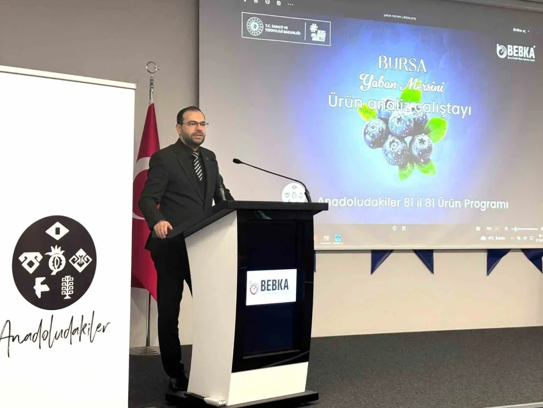 Bursa yaban mersini için yol haritası hazırlanıyor