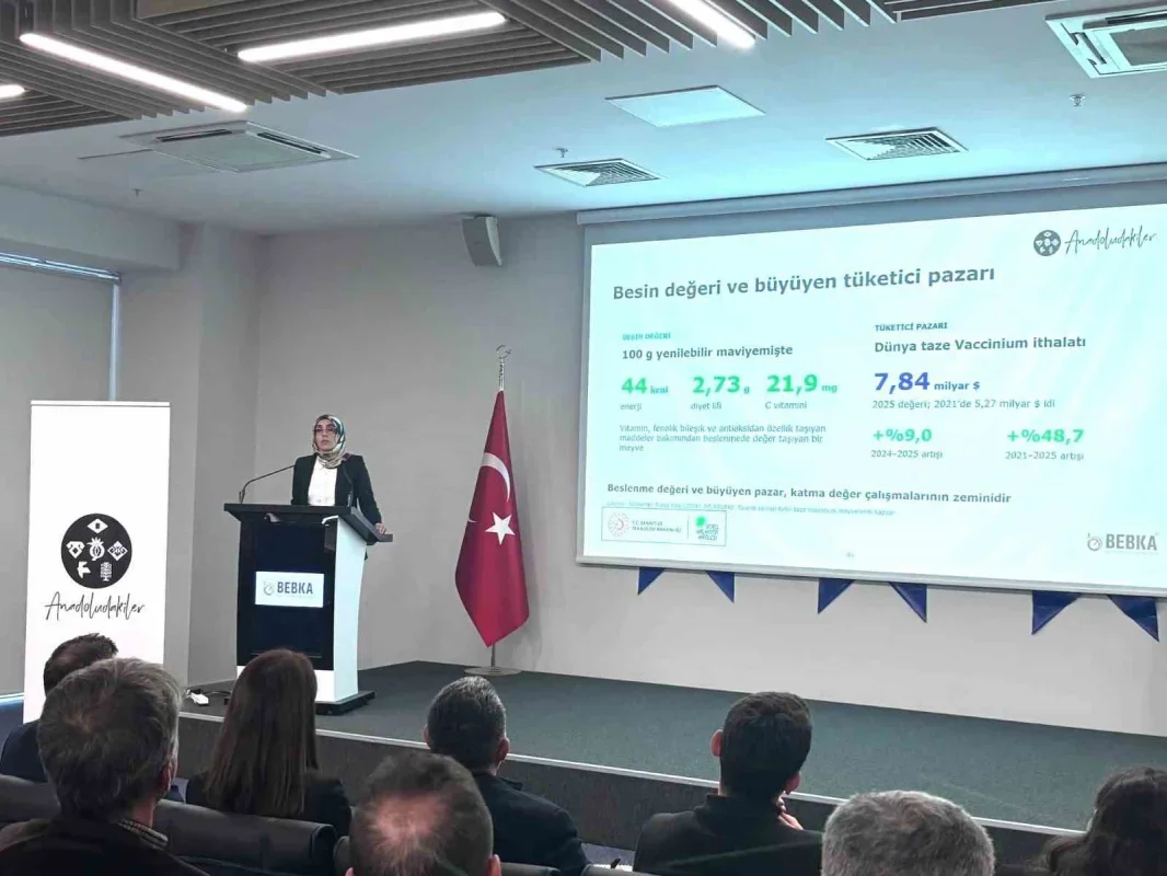 Bursa yaban mersini için yol haritası hazırlanıyor
