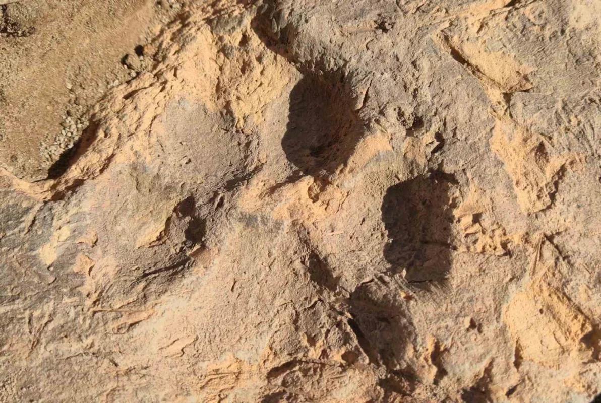 Tavşanlı Höyük'te 4 bin yıllık köpek pati izleri bulundu