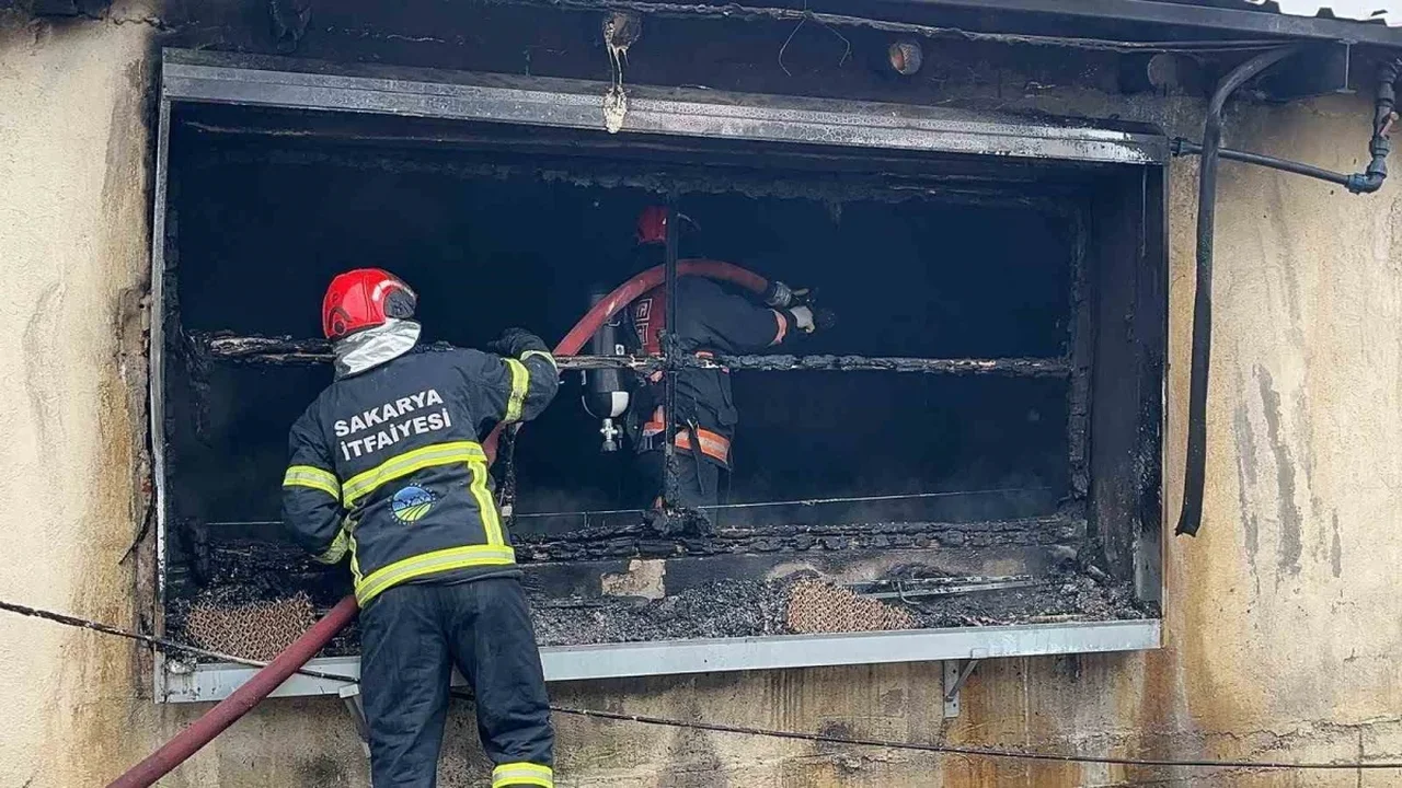 Sakarya Pamukova'da tavuk çiftliği yangını söndürüldü