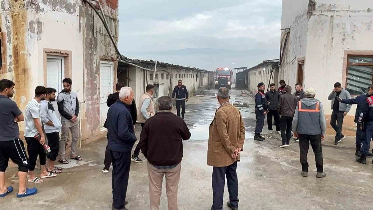 Sakarya Pamukova'da tavuk çiftliği yangını söndürüldü
