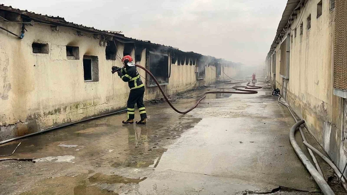 Sakarya Pamukova'da tavuk çiftliği yangını söndürüldü