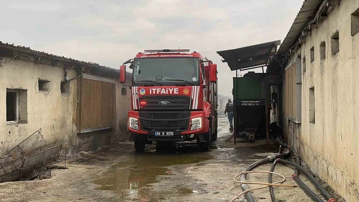 Sakarya Pamukova'da tavuk çiftliği yangını söndürüldü