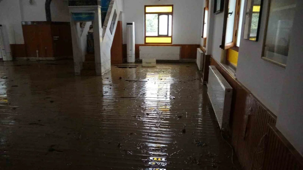 Şile'de taşan dere cami ve villaları su altında bıraktı