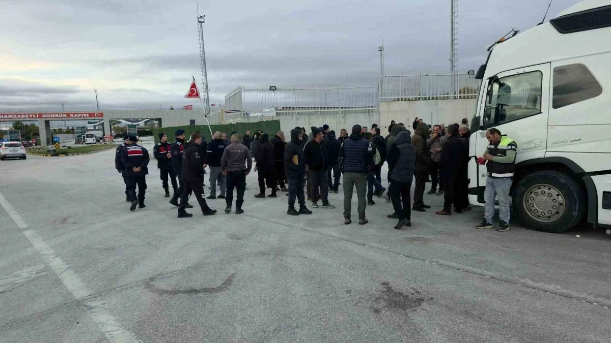 Kapıkule ve Hamzabeyli'de şoförlerden vize tepkisi