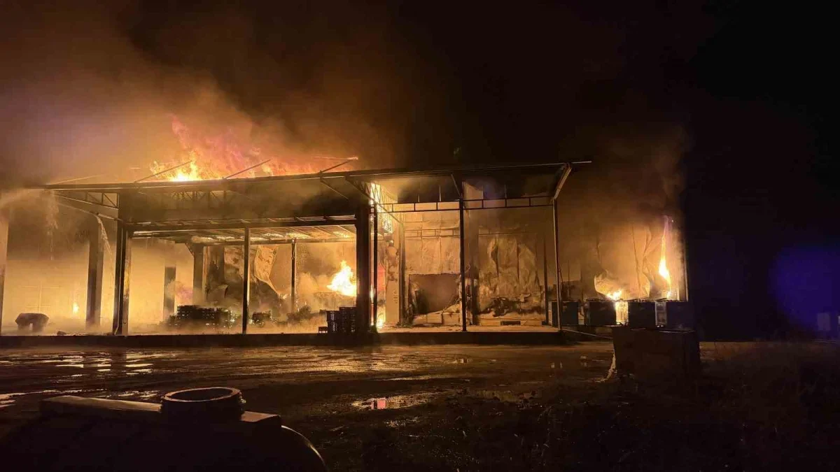 İznik'te soğuk hava deposundaki yangına müdahale sürüyor