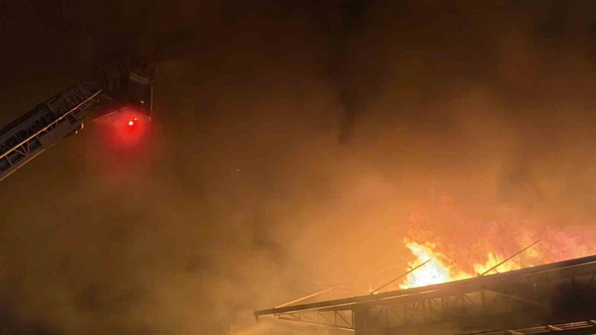 İznik'te soğuk hava deposundaki yangına müdahale sürüyor