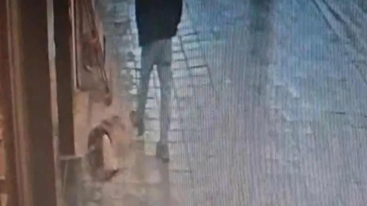 Avcılar'da köpeğe tekme atan adamı köpek ısırdı