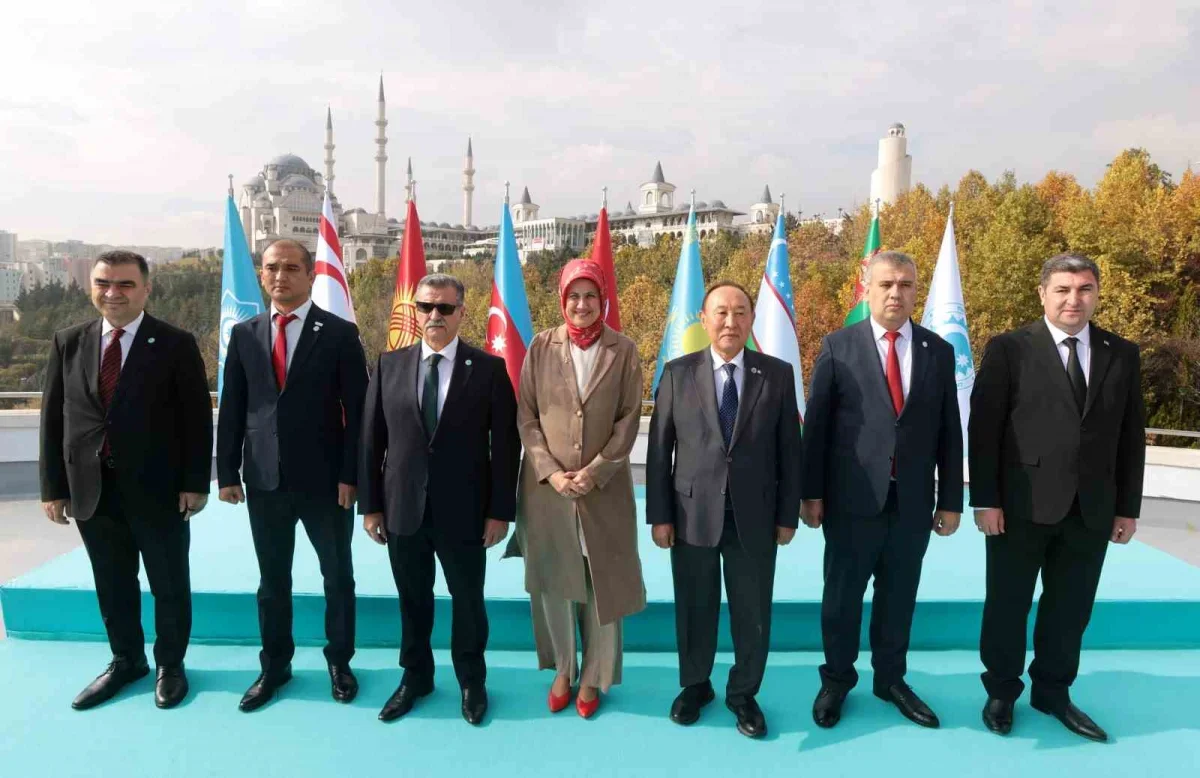 Türk Kızılay, Türk Devletleri Ağı'nın dönem başkanı