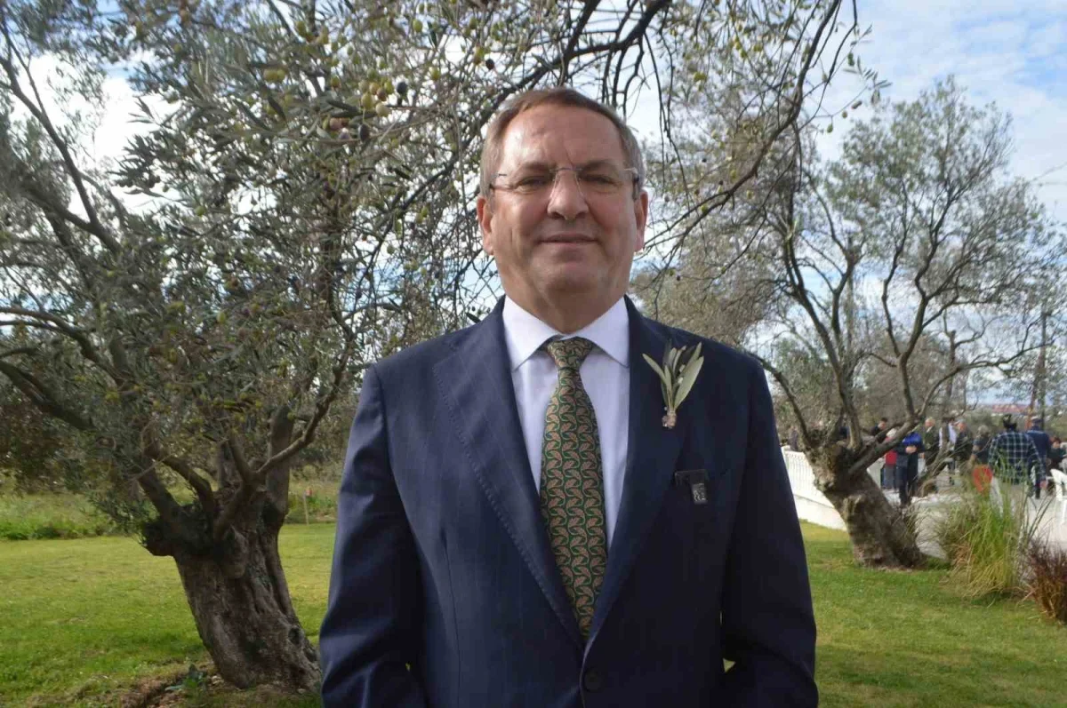 Ayvalık'ta 21. Zeytin Festivali'nde hasat yapıldı