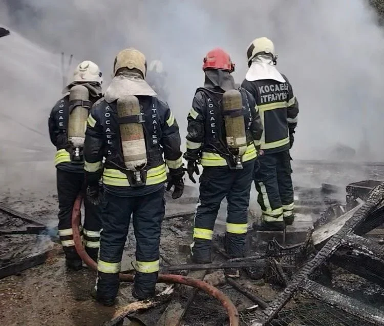 Kocaeli'de ahır yangınında 34 hayvan telef oldu
