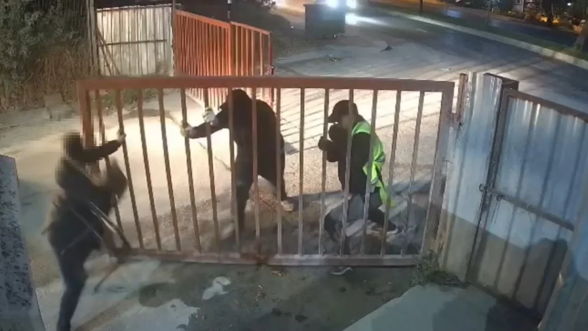 Bakırköy'deki kablo hırsızlığına operasyon düzenlendi