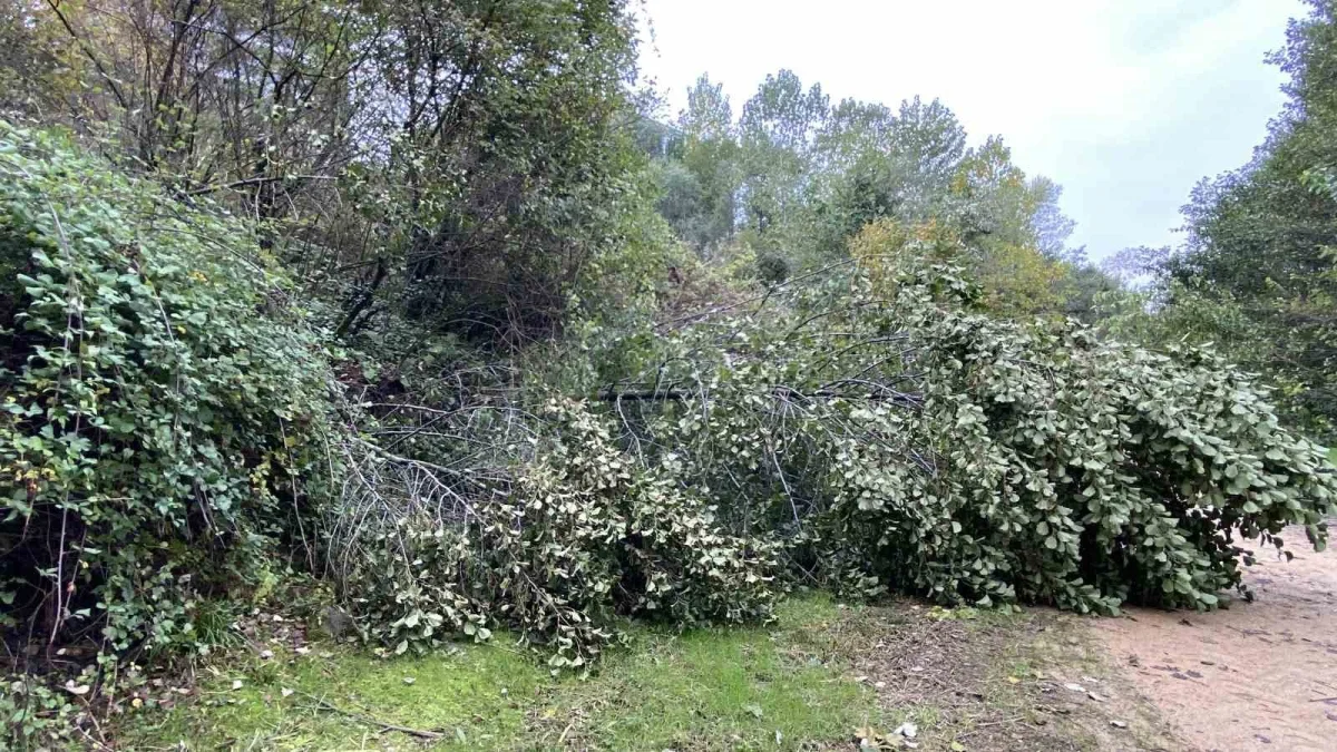 Başiskele'de kayan toprak çocuk parkını yuttu