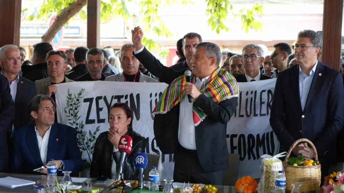 Özgür Özel, Edremit Körfezi'nde 4 ilçede zeytin mesaisi