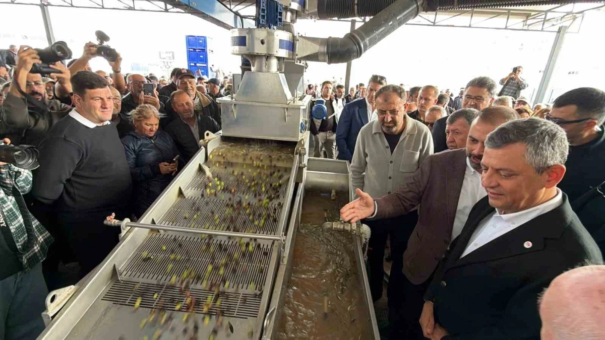 Özgür Özel, Edremit Körfezi'nde 4 ilçede zeytin mesaisi