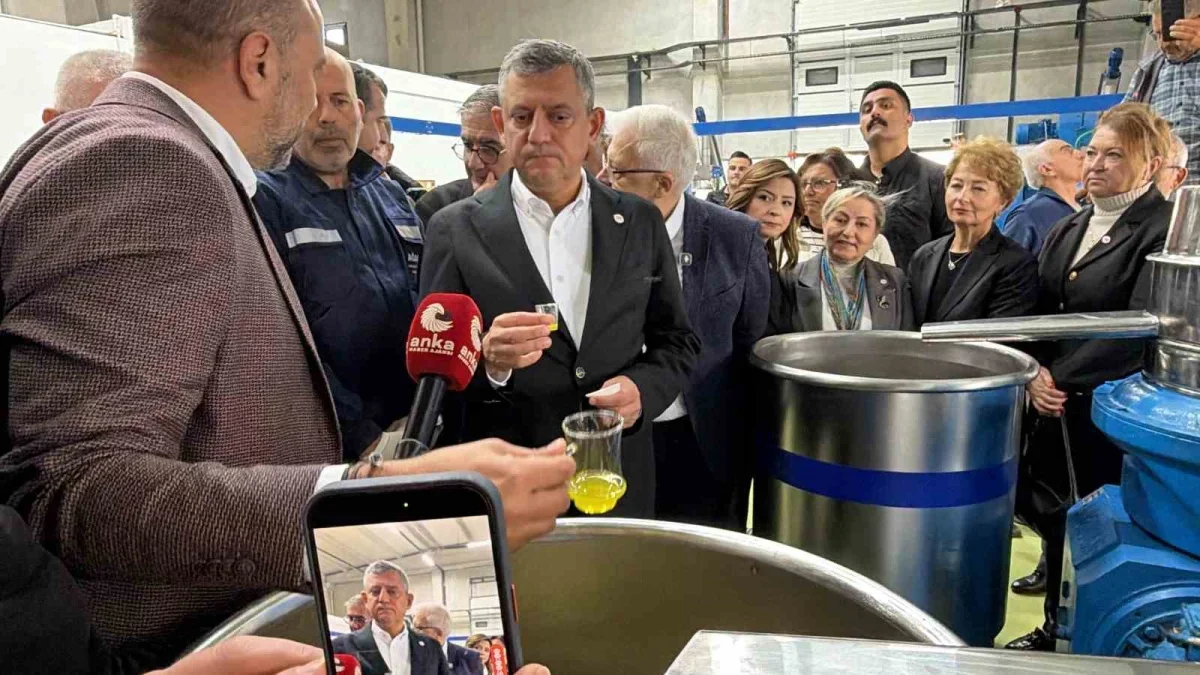 Özgür Özel, Edremit Körfezi'nde 4 ilçede zeytin mesaisi