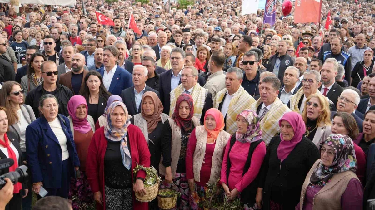 Özgür Özel, Edremit Körfezi'nde 4 ilçede zeytin mesaisi