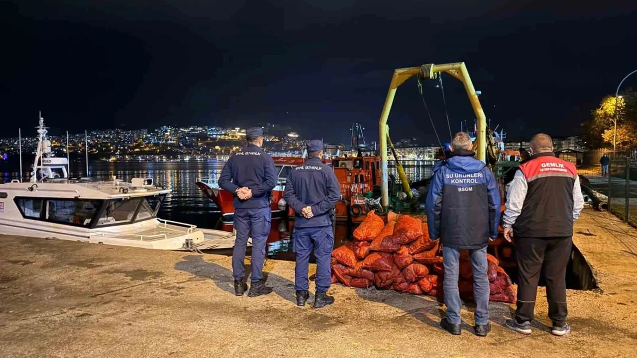 Bursa Gemlik'te 350 kilo kaçak midyeye el konuldu