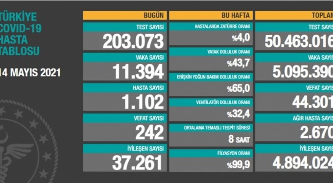 Son 24 saatte can kaybı 242 oldu