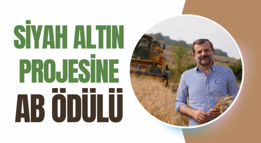 Gürsu Belediyesi'nden sürdürülebilir tarıma dev adım