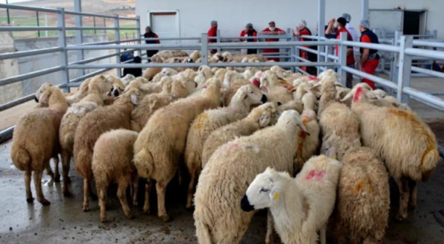 Kurban Hizmetlerinin Uygulanmasına Dair Tebliğ, Resmi Gazete'de Yayımlandı