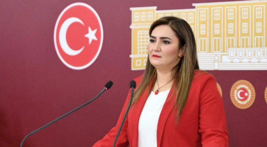 CHP'li vekil Sevda Erdan Kılıç, kendi 'ölüm haberini' yalanladı