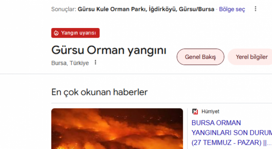 Bursa, Google'da kırmızı alarmda: Yangın göstergesi aktif