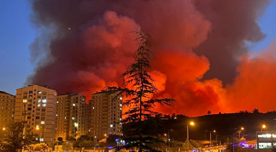 Bursa Valiliği'nden orman yangını açıklaması